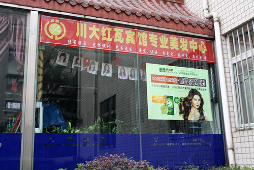 植物染发店