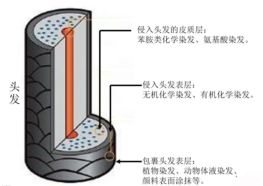 染发产品