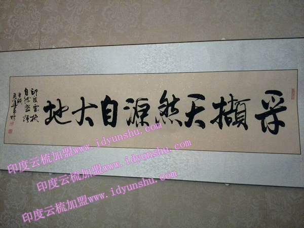 印度云梳植物染发养发加盟店