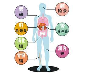 化学染发剂中的重金属