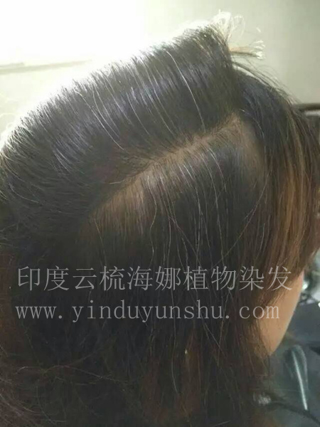 印度云梳酒红色海娜粉染发前