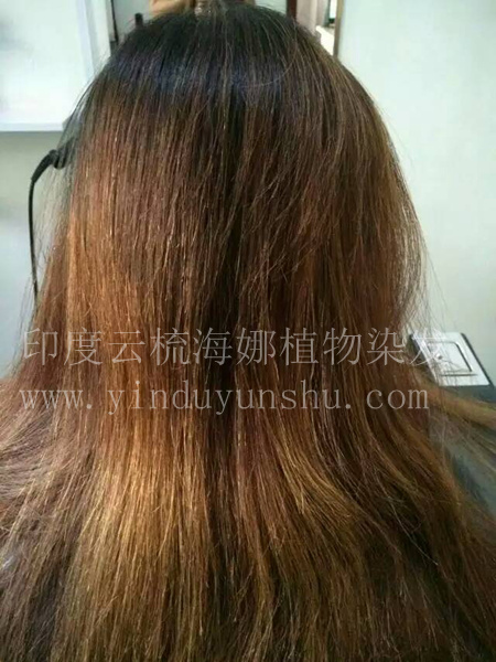 印度云梳酒红色海娜粉染发前