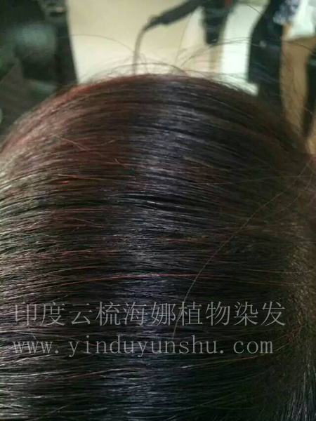 印度云梳酒红色海娜粉染发效果