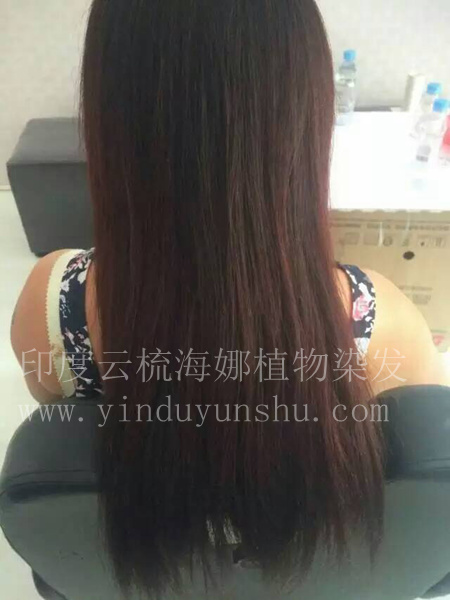 印度云梳酒红色海娜粉染发效果