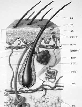 化学洗发水，你还在用吗