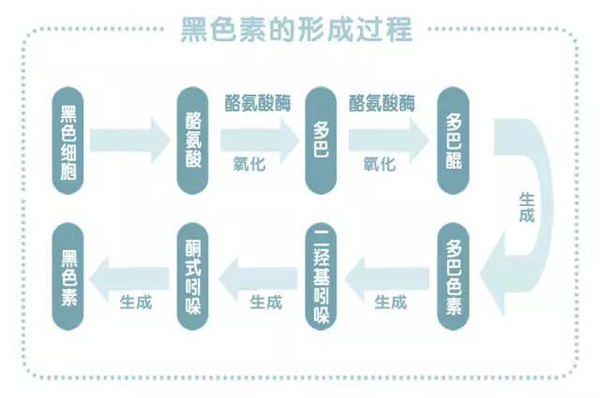 头发为何变黄变灰？这是白发的前兆吗？