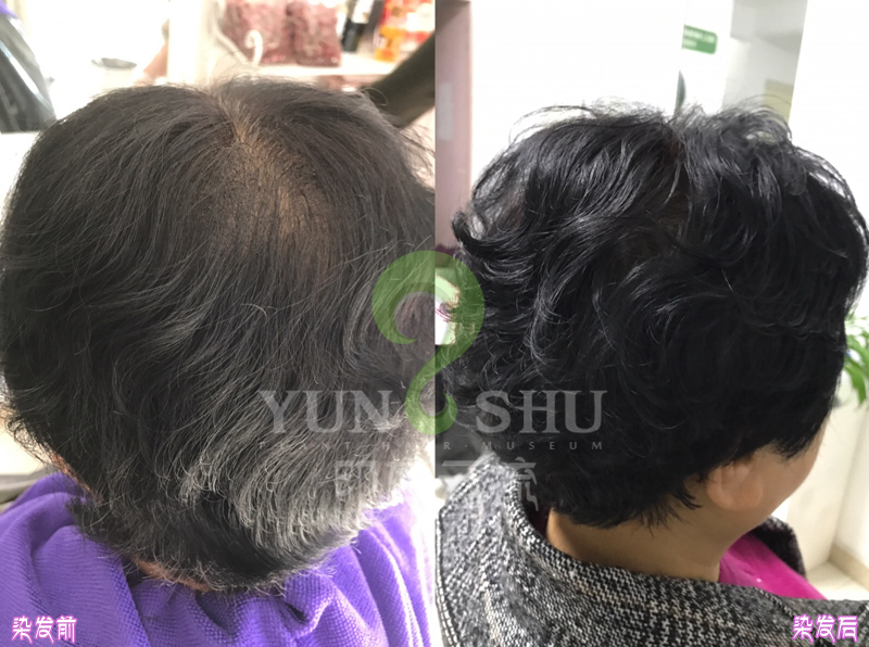 重阳节活动中的染发效果图
