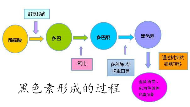 白发真的会越染越多吗？