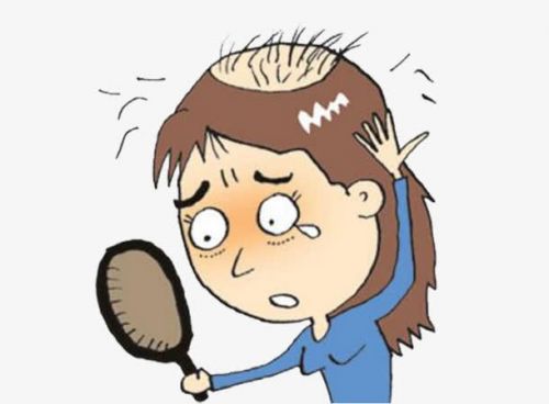 减肥也掉发？那你是要身材还是要头发呢？