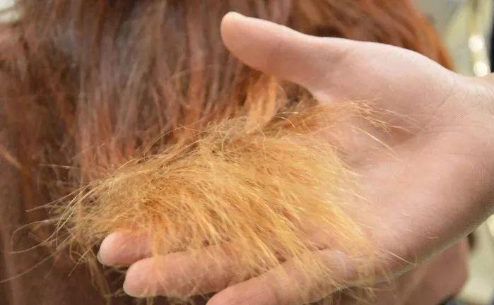 植物染发和化学染发的区别，海娜粉染发效果分享